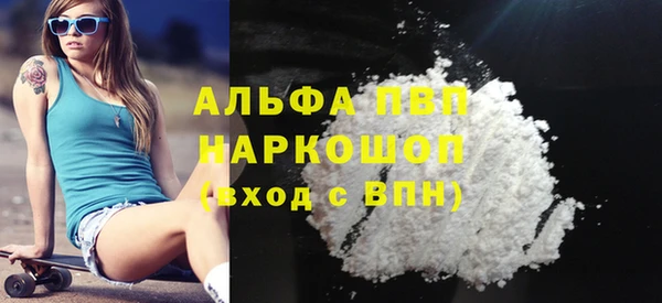 стаф Богданович