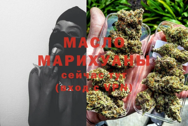 ECSTASY Бородино