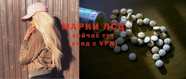 ECSTASY Бородино