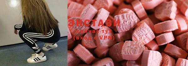 ECSTASY Бородино
